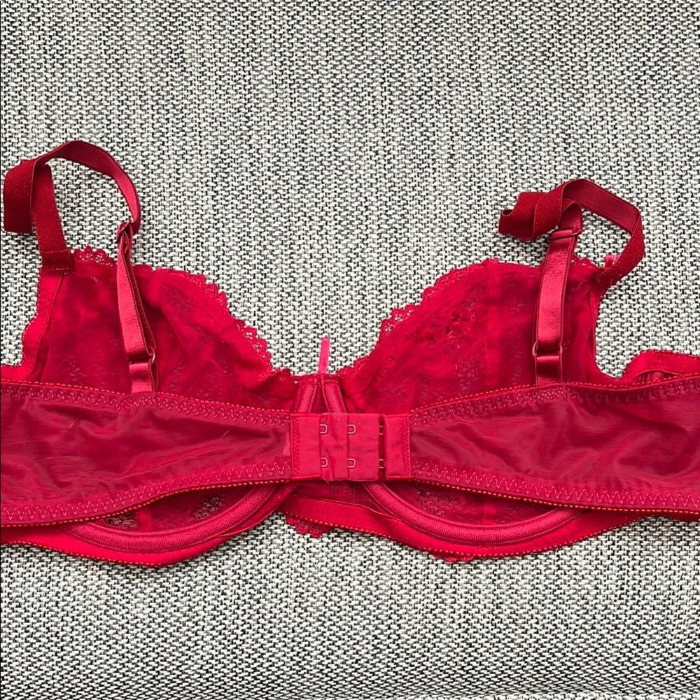 Sheer Lace Underwire Bra in Red - Picture 3 of 3